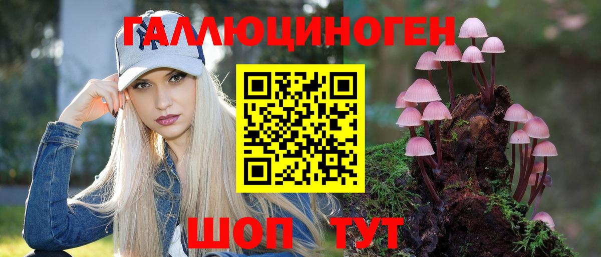 Галлюциногенные грибы Psilocybine cubensis  Вход с VPN  Каспийск 