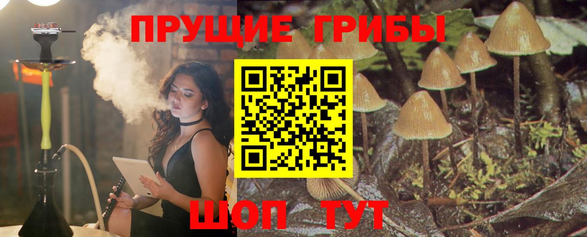 ГАШИШ Каспийск